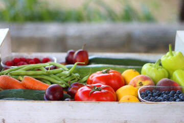 Wooden crate full of healthy seasonal fruit and vegetable, in the garden. Selective focus.