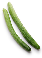 Japanese Cucumber (Asakaze), Kyoto traditional vegetable