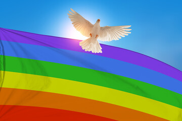 White Dove flying on Pride Month Pride Festival flag on blue sky background to independence , freedom , Pride Month Pride Festival concept