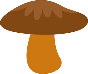 Porcini Mushroom Plant