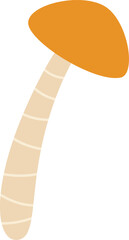 Velvet Pioppini Mushroom