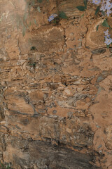 Old masonry wall. Stone wall style walls of a huge farm with old house, trees, blue flowers and grazing horses.