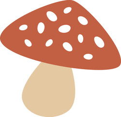 Fly Agaric Mushroom
