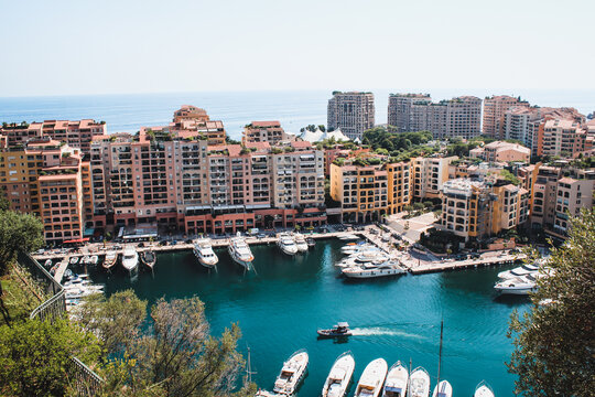 Carlos Images Browse 34,680 Stock Photos, Vectors, and Video Adobe