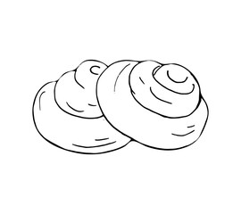 Cinnamon roll hand drawn illustration. Isolated sweet buns vector illustration on white background. Vector pastry illustration.