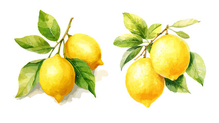 Lemon, watercolor painting style illustration. Vector set.