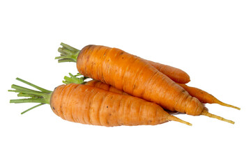 Young fresh carrot isolated on white