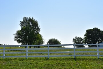 White Fence in a Field