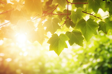 Branch with green leaves in sunlight, bokeh effect. Summer background. Ai generated