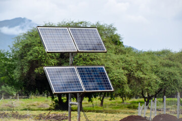 Solar panels installed in a field for power generation 