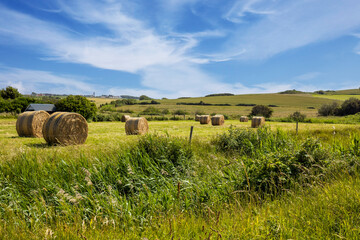 Landscape with Hay bales and blue sky and clouds in the summer in france audresselles, ambleteuse and wimereux