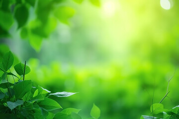 Branch with green leaves in sunlight, bokeh effect. Summer background. Ai generated