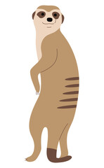 Meerkat Single 2 cute on a white background, vector illustration