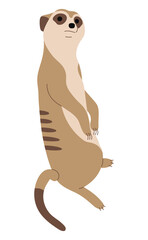 Meerkat Single 4 cute on a white background, vector illustration