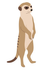 Meerkat Single 10 cute on a white background, vector illustration