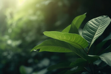 Dark moody green leaves summer background. Ai generated