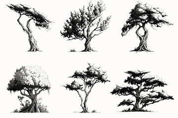 set of silhouettes of trees