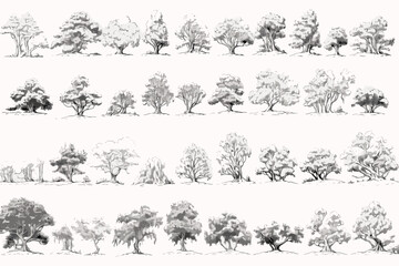 set of silhouettes of trees