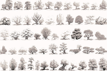 collection of trees