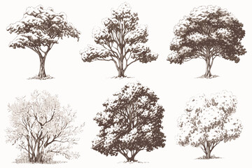 set of trees silhouettes