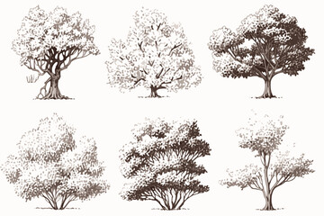 Fototapeta premium set of trees vector