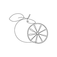 One line illustration of an orange. Line drawing fruit. Single line orange art
