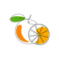 One line illustration of an orange. Line drawing fruit. Single line orange art in colors