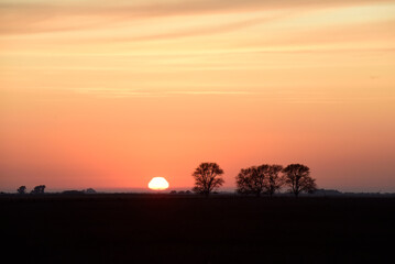 Fototapeta na wymiar Rural sunset landscape, Buenos Aires province , Argentina