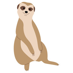 Meerkat Single 15 PNG