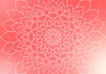 Flower line abstract geometric pink gradient background