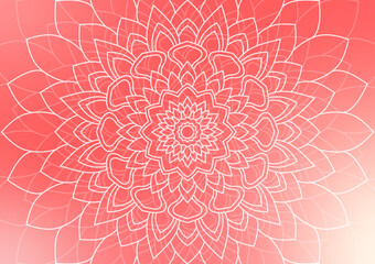 Flower line abstract geometric pink gradient background