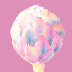background with pink flowers