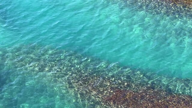 Shiny sea water blue turquoise reef.