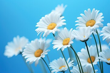 Fototapeta na wymiar illustrfation spring white daisy flowers blossom field background, Generative Ai 