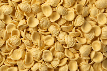 Uncooked Orecchiette pasta close up full frame as background