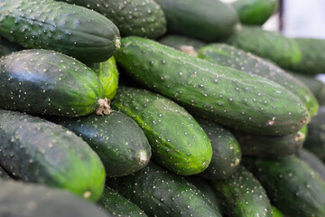 cucumbers on market counter in wicker basket