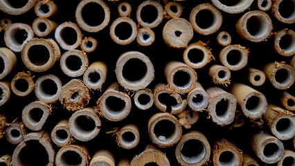 Bamboo sticks background. Texture dry bamboo background. An insect hotel made from bamboo sticks, which is used by bees to lay eggs, with already bricked-in entrances