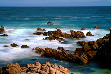 Asilomar State Marine Reserve California