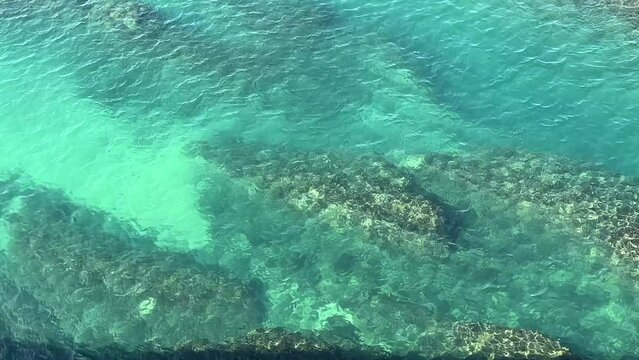 Shiny sea clear water beautiful seascape.