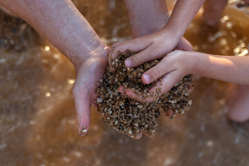 Father and son are playing in the sand on the beach close up hands.