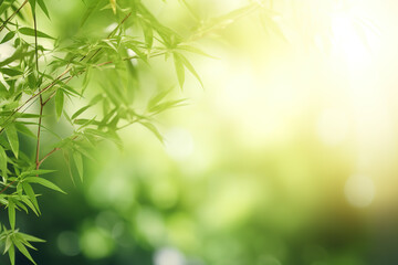 Naklejka premium Empty space surrounded by beautiful leaves bamboo with an empty backdrop and beautiful lighting and bokeh. Green leaves frame. Illustration, Generative AI.