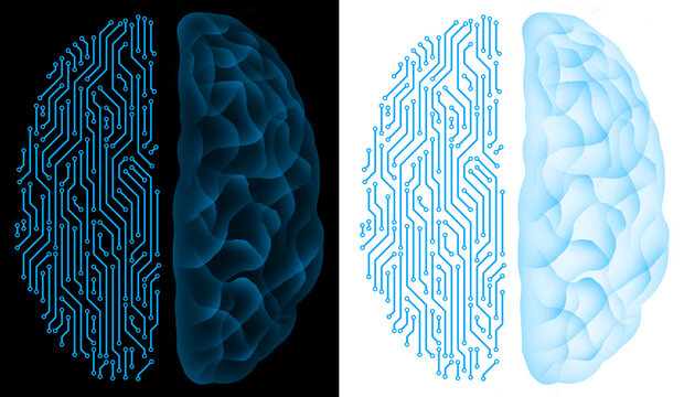 half circuit artificial intelligence brain and half human brain holographic blue neon glow brain top view transparent background
