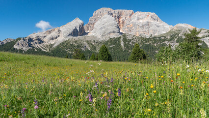 Beautiful mountain landscape at the Pl&auml;tzwiese / Prato Piazza in the Dolomites (Italian Alps), with the Hohe Gaisl mountain in the background