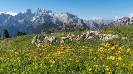 Beautiful mountain landscape at the Pl&auml;tzwiese / Prato Piazza in the Dolomites (Italian Alps), with the Monte Cristallo in the background