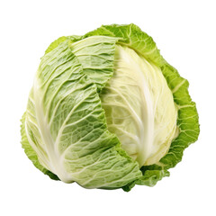Fototapeta premium head of cabbage isolated on transparent background cutout