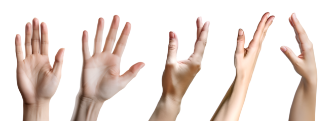 Hand on transparent background cutout, PNG file. Mockup template for artwork design. perspective positions many different angle, open, palm
