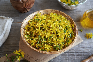 Fresh St. John's wort blossoms in a basket on a table