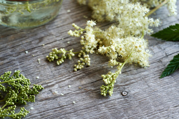 Meadowsweet blossoms on a rustic table