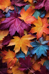 Autumn leaves lying on the floor - obrazy, fototapety, plakaty