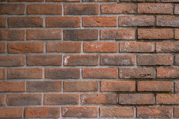 ユニークな壁　Material of the unique white wall